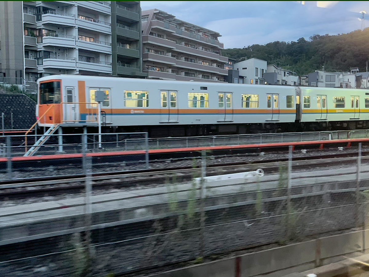 写真1