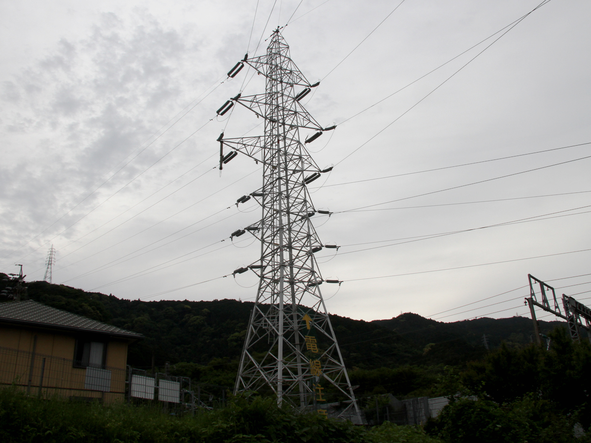 写真2
