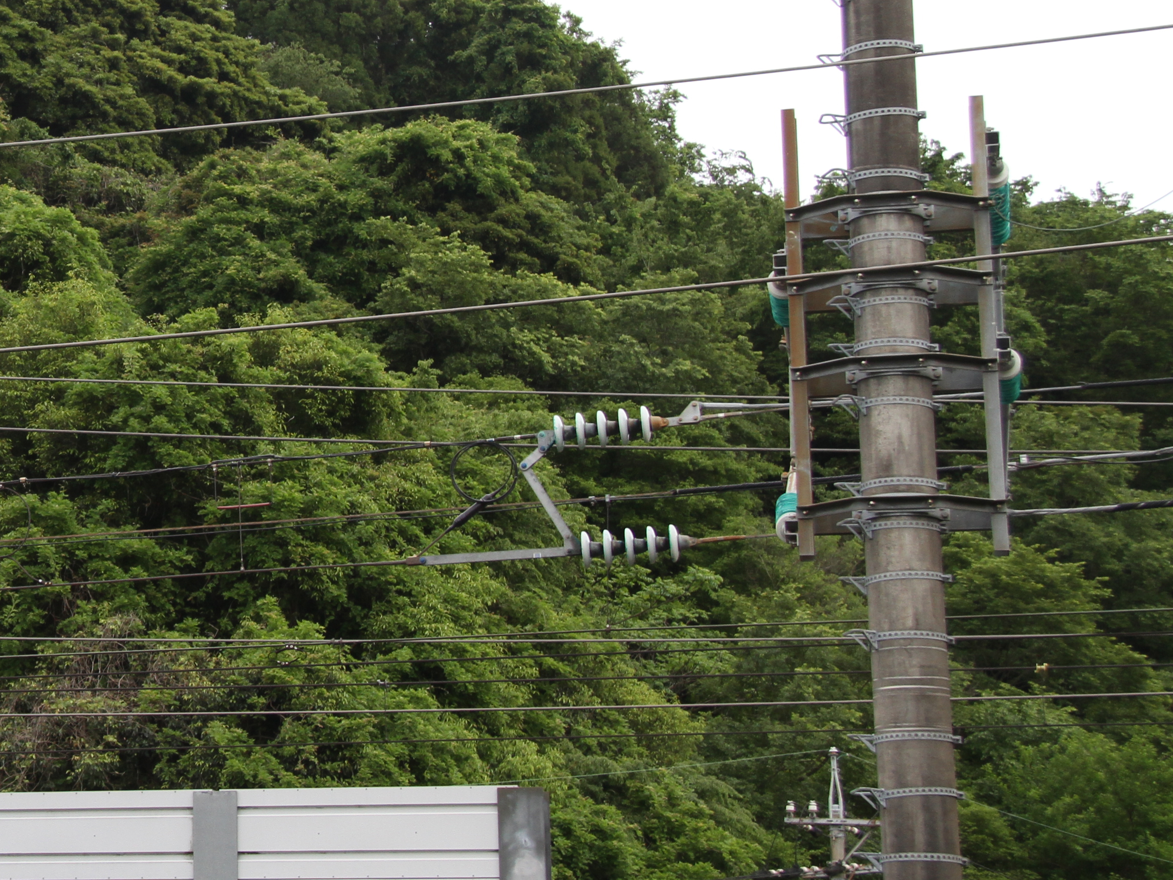写真31