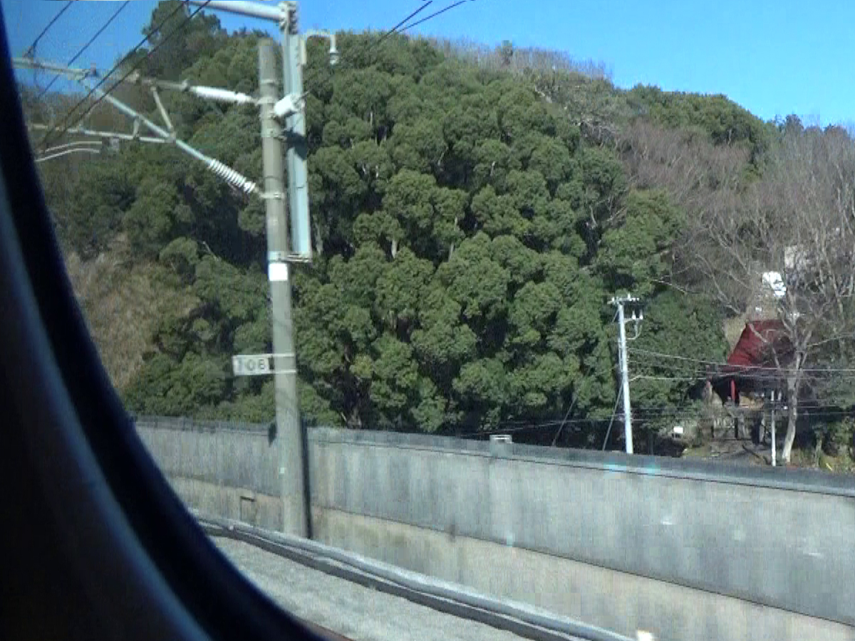 写真7