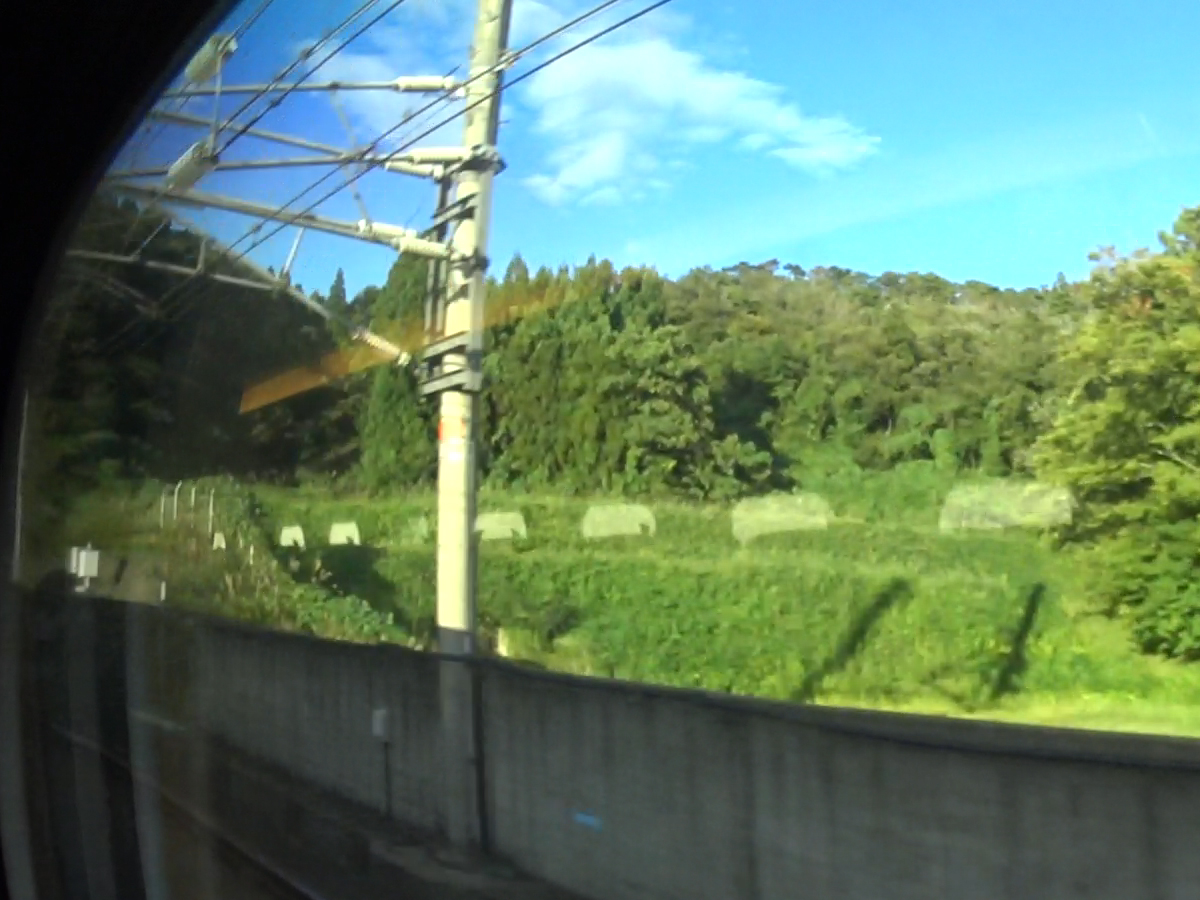 写真7