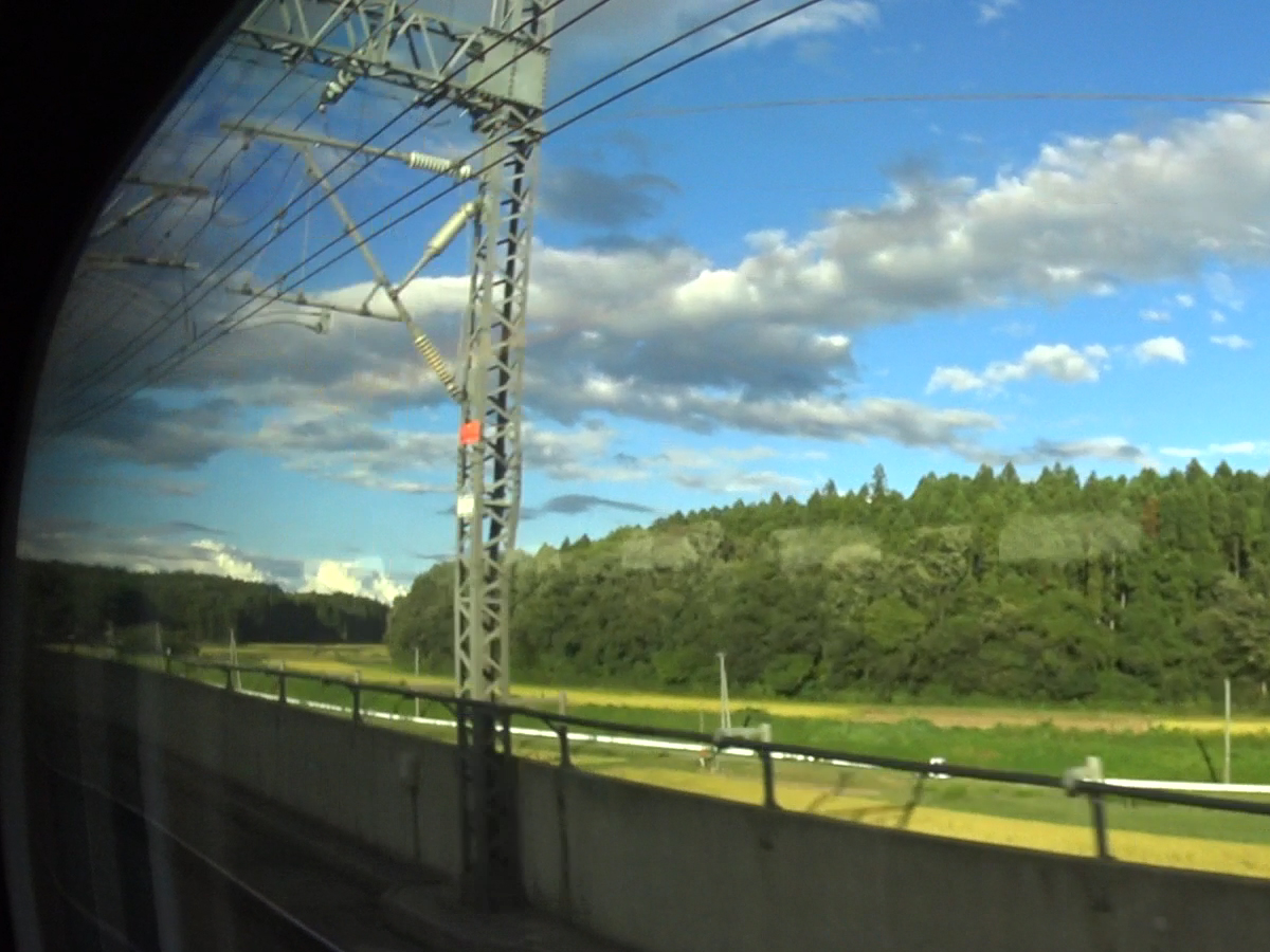 写真15