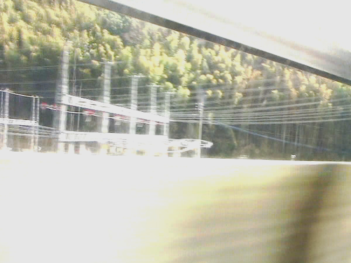 写真2
