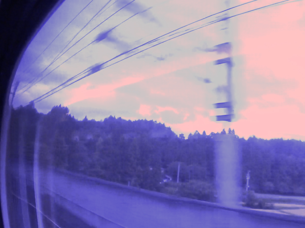 写真14