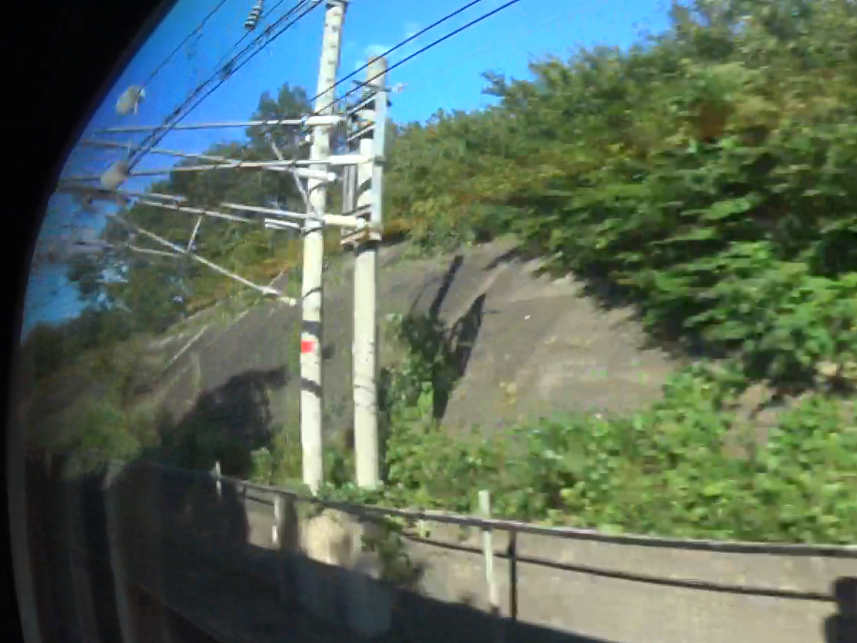 写真10