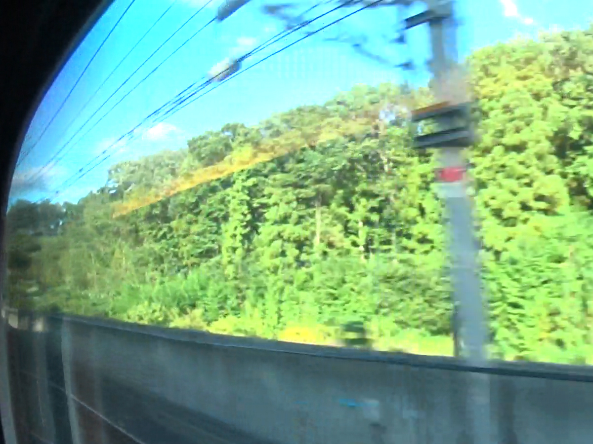 写真11