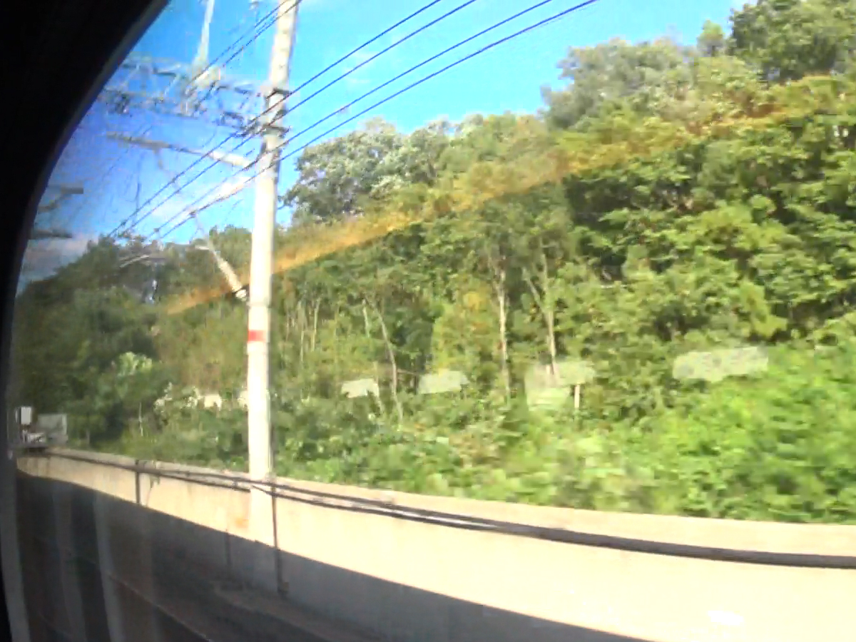 写真13