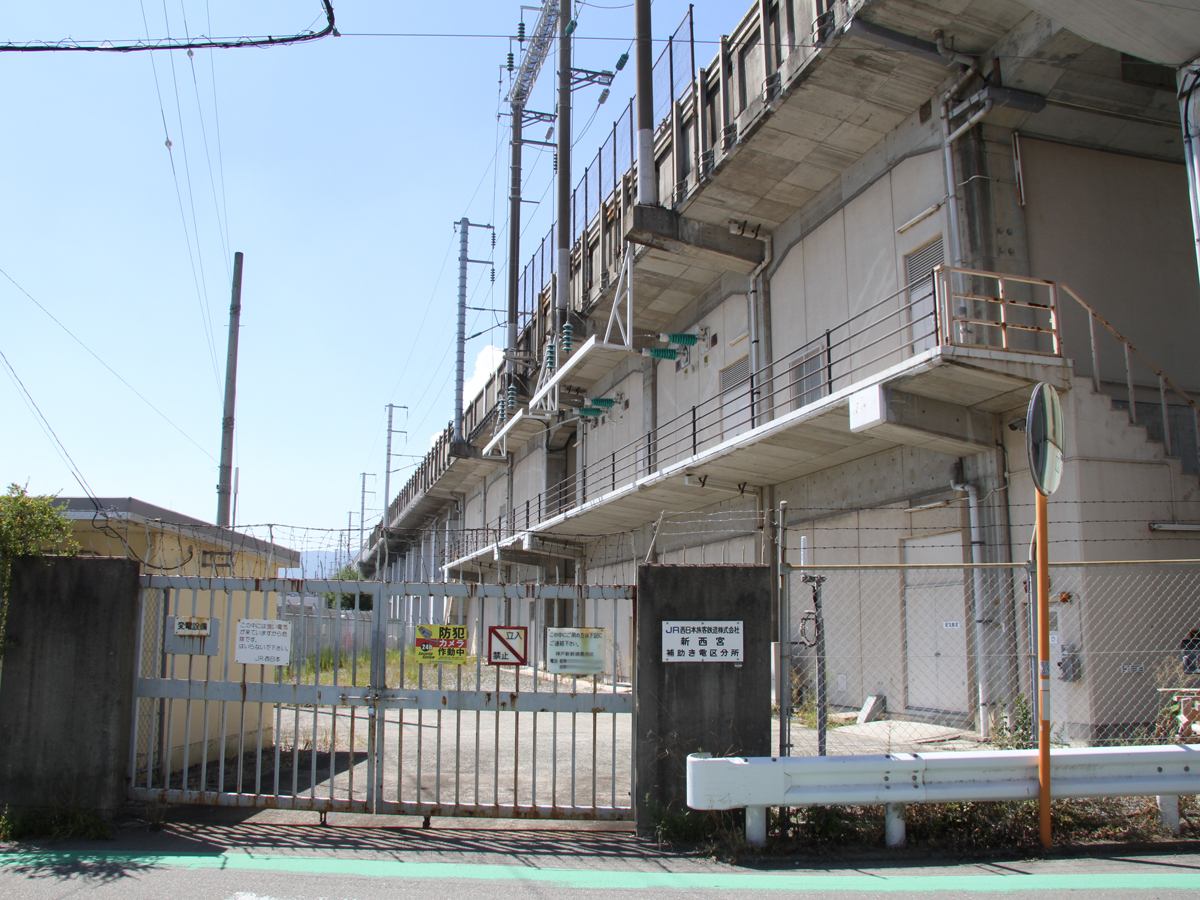 写真1