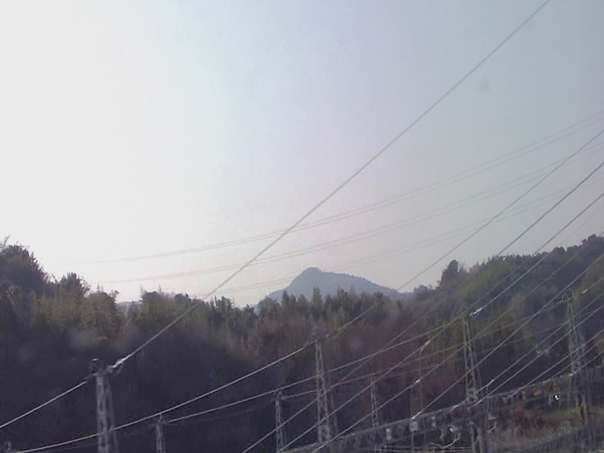 写真2