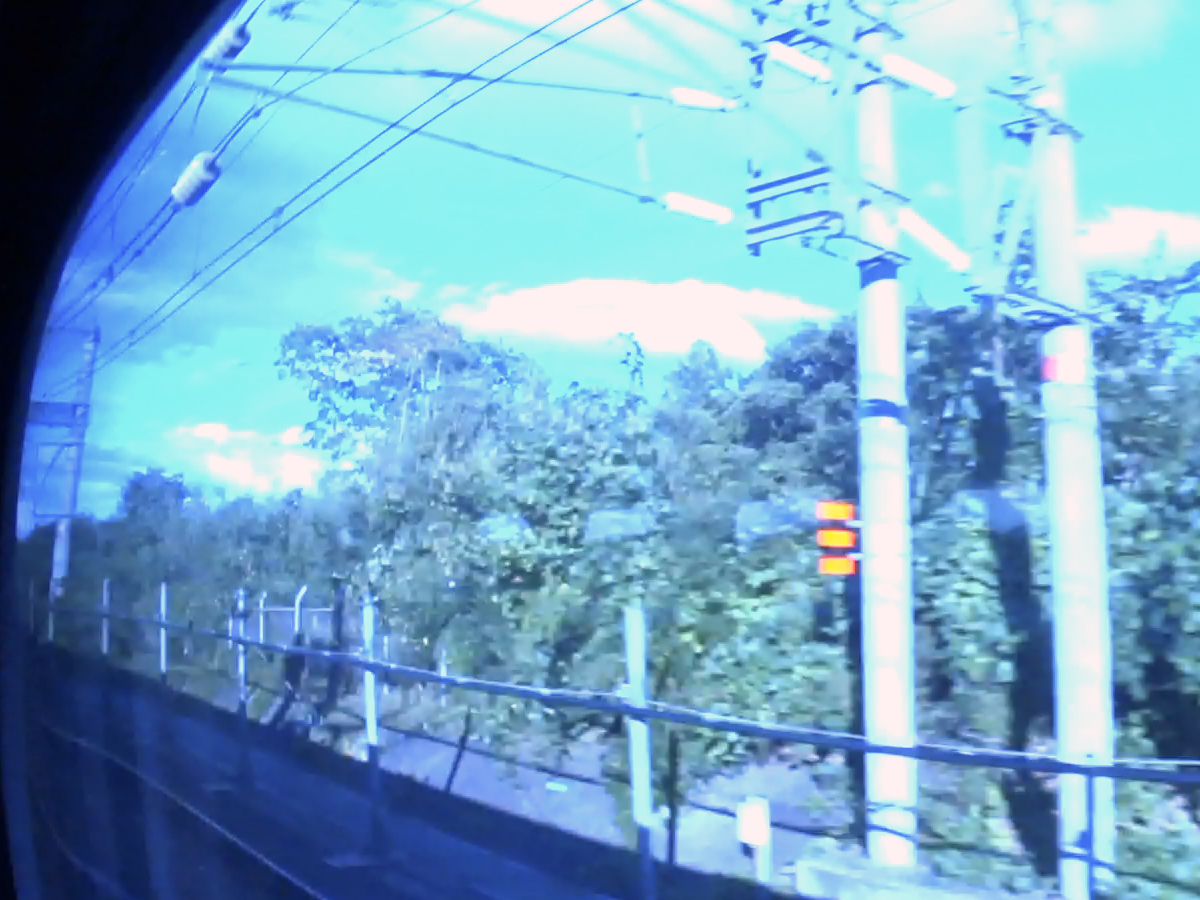 写真7
