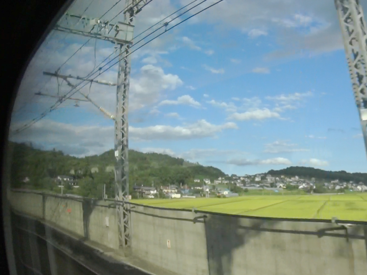 写真12