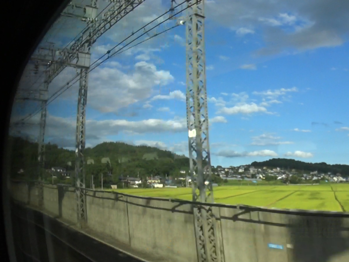 写真6