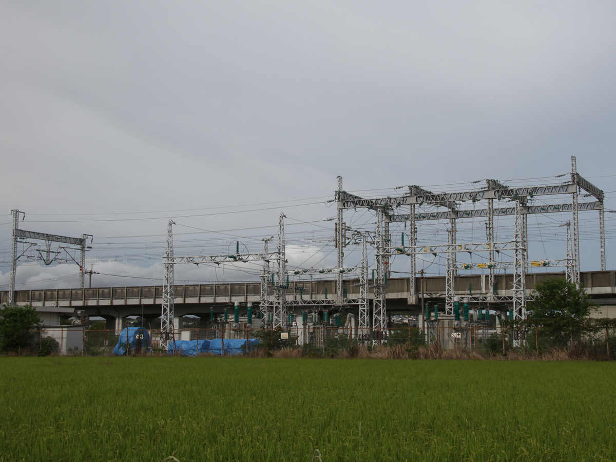 写真1