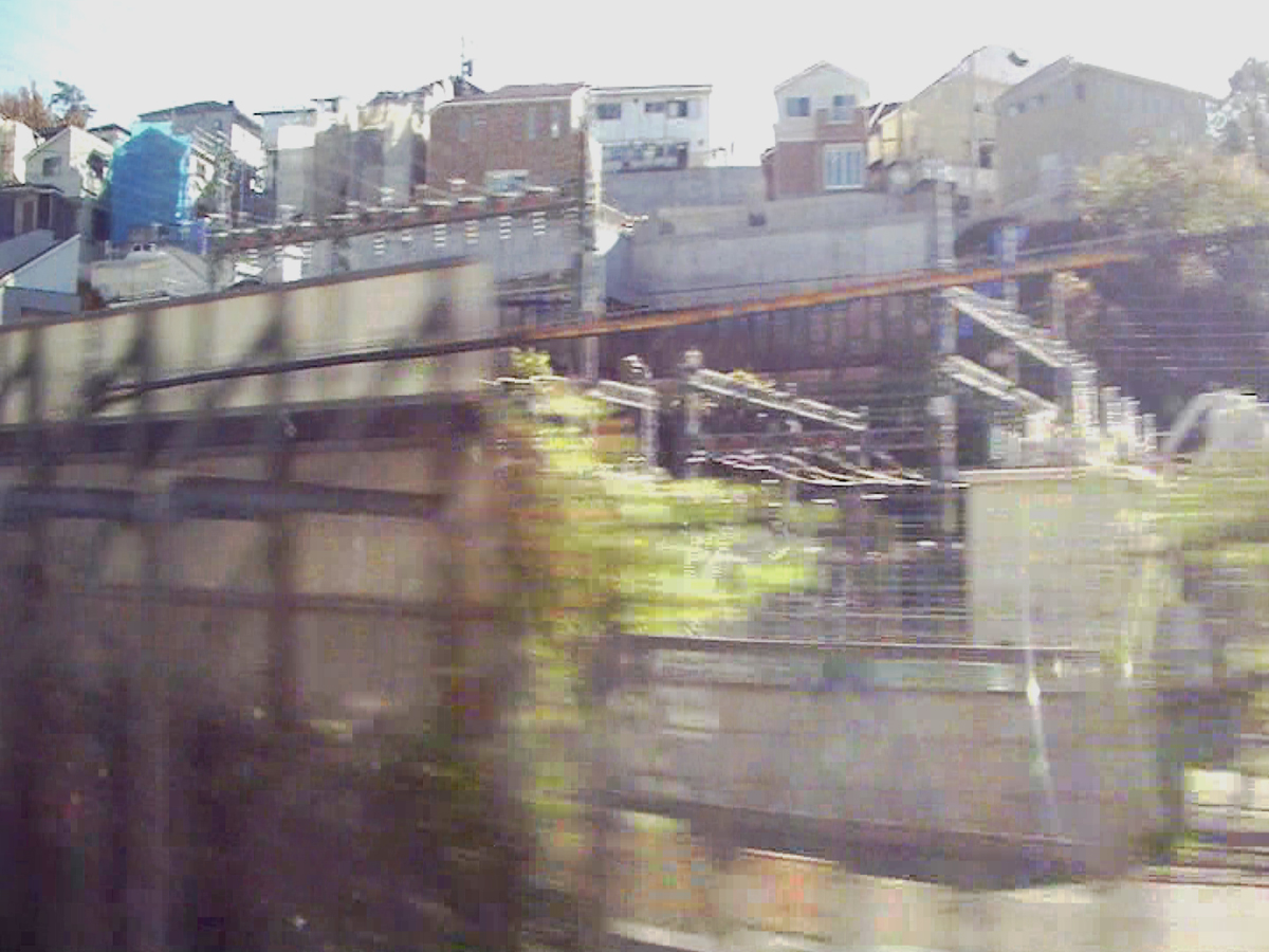 写真3