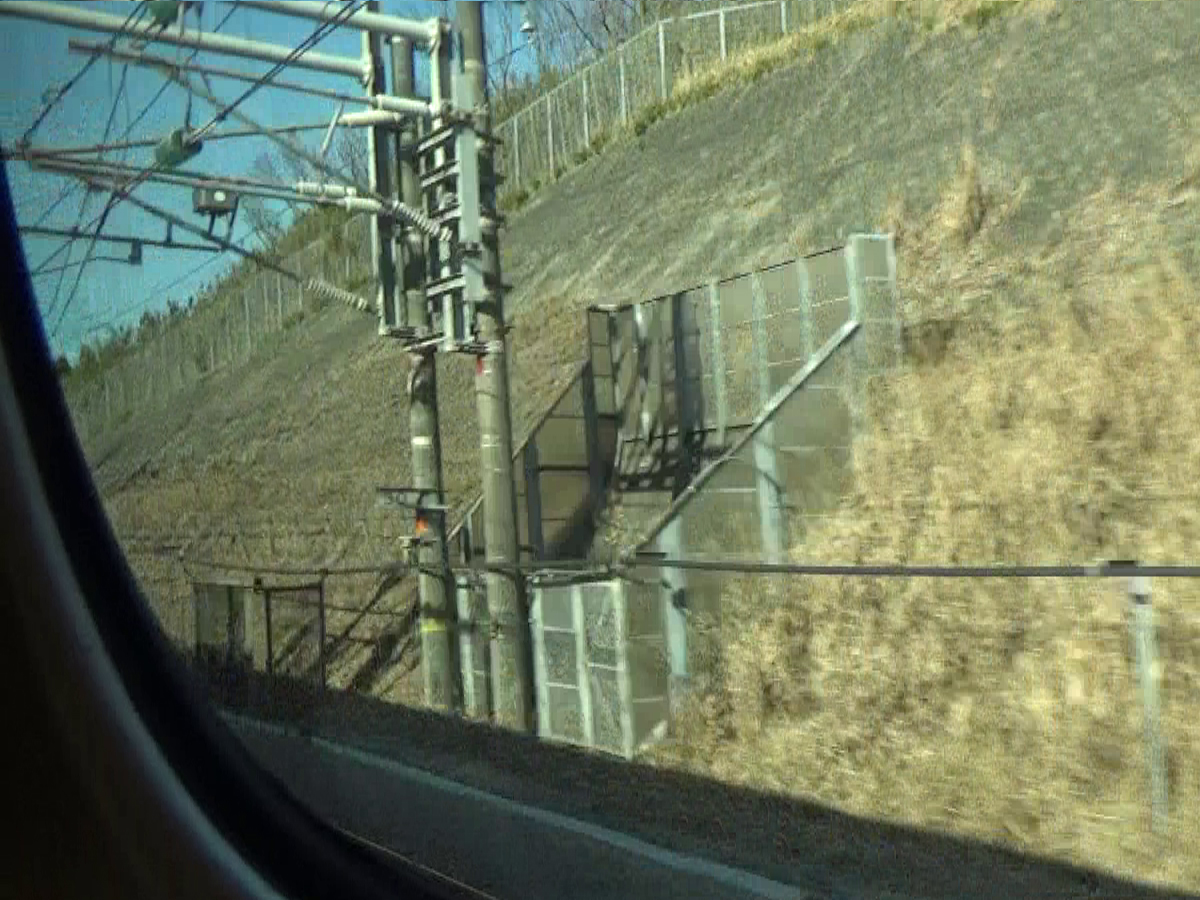 写真7