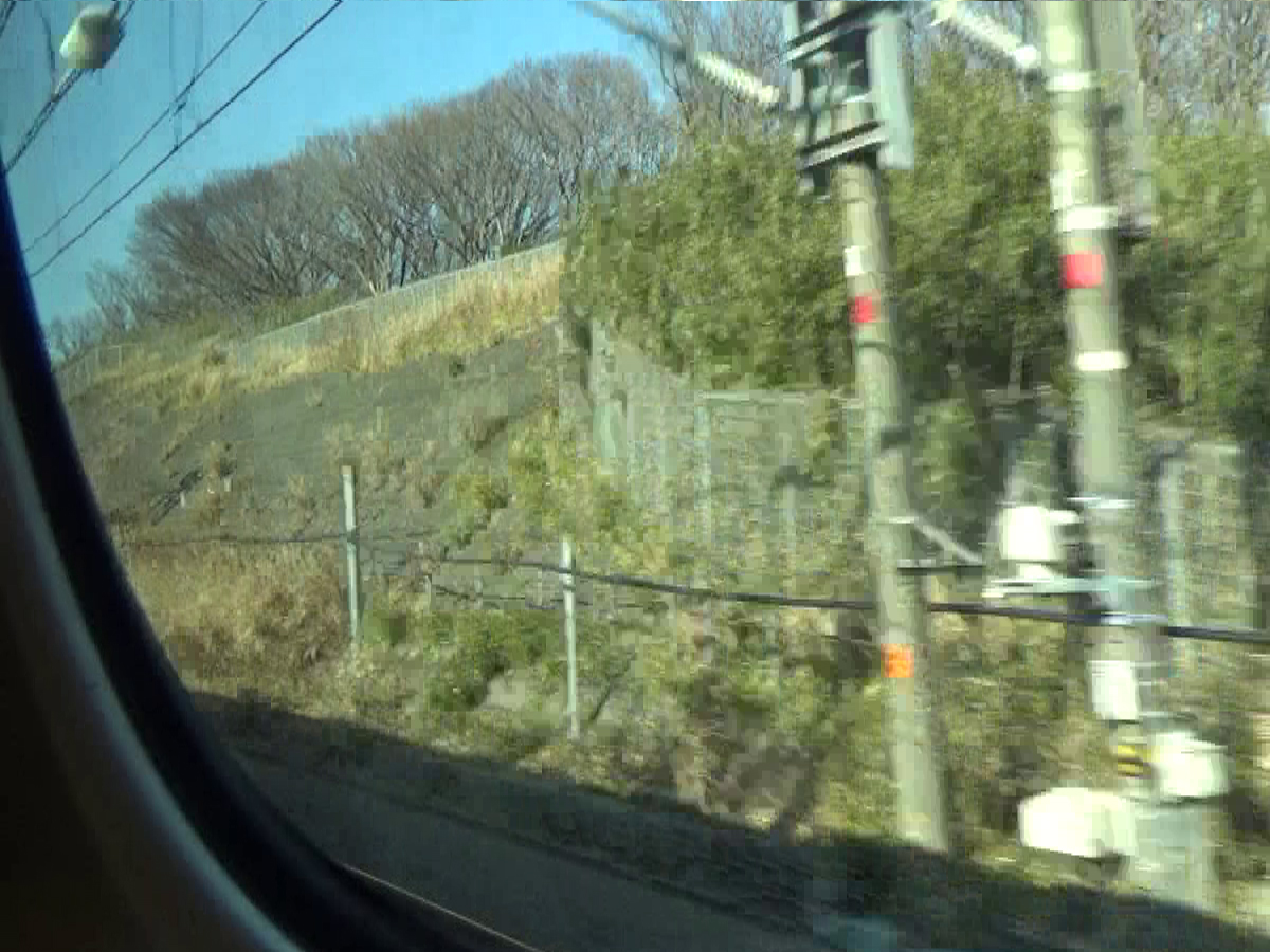 写真8